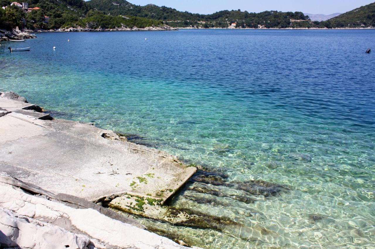 Apartments And Rooms With Parking Space Sobra, Mljet - 18465 Babino Polje Eksteriør billede